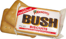 Bush Biscuits