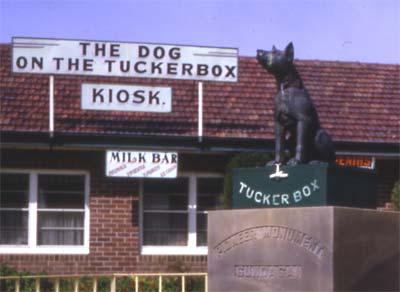 Dog on the Tuckerbox