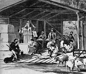 shearing